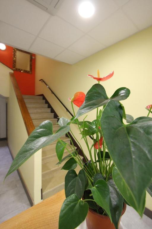 Le Provencal Hotel Тараскон Екстериор снимка